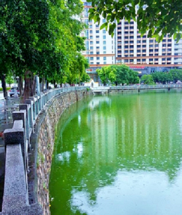 20140622_143122.jpg