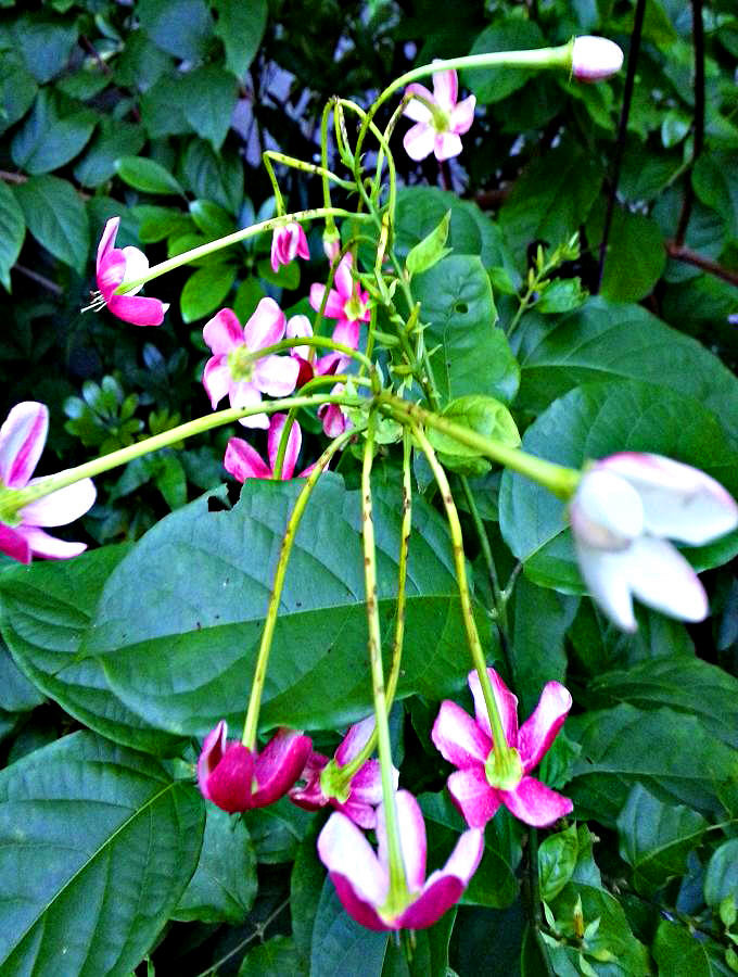20140702_190343.jpg