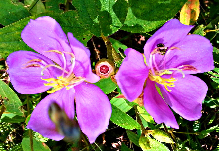 20140702_141759.jpg