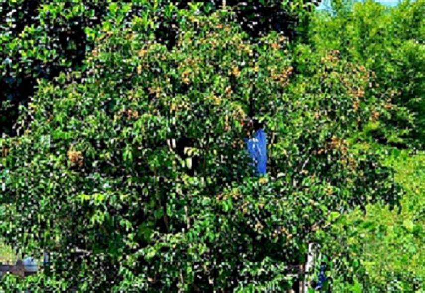 IMG_7948.JPG