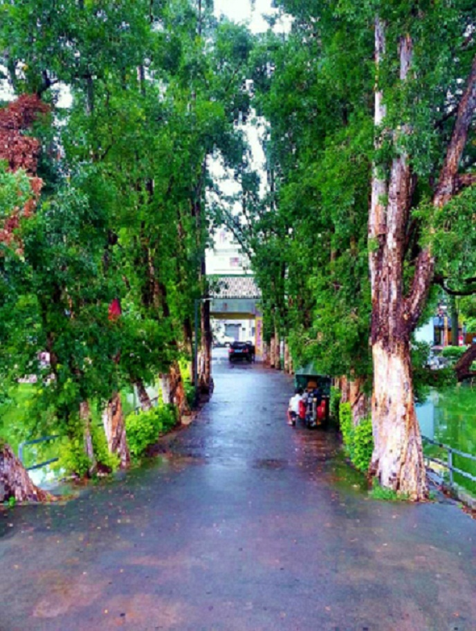 20140622_145101.jpg
