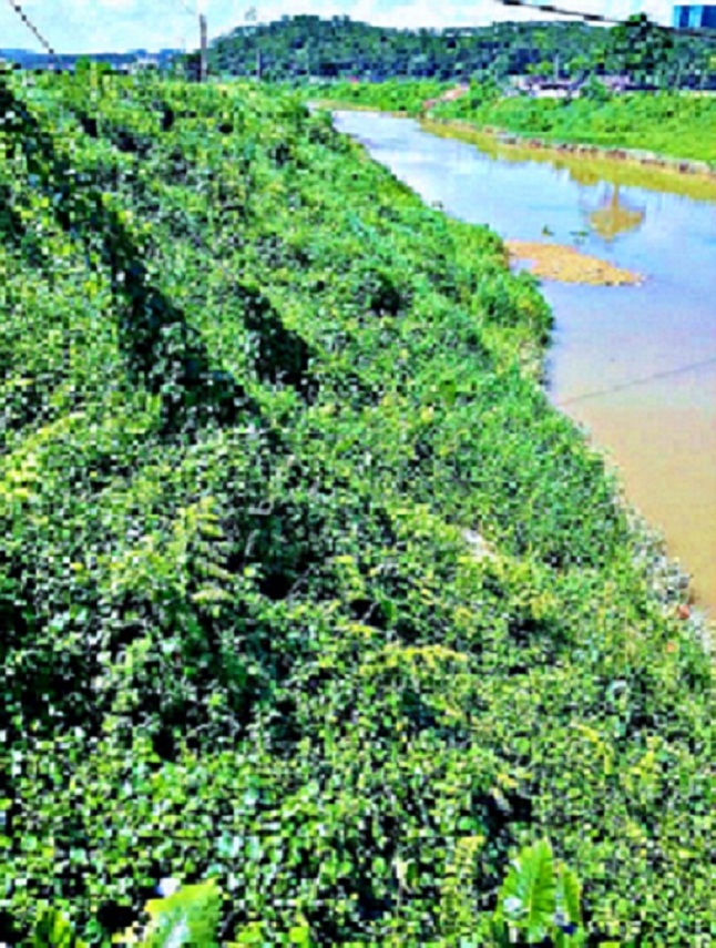 20140702_143331.jpg