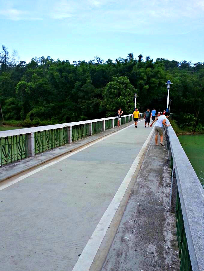 20140702_190108.jpg