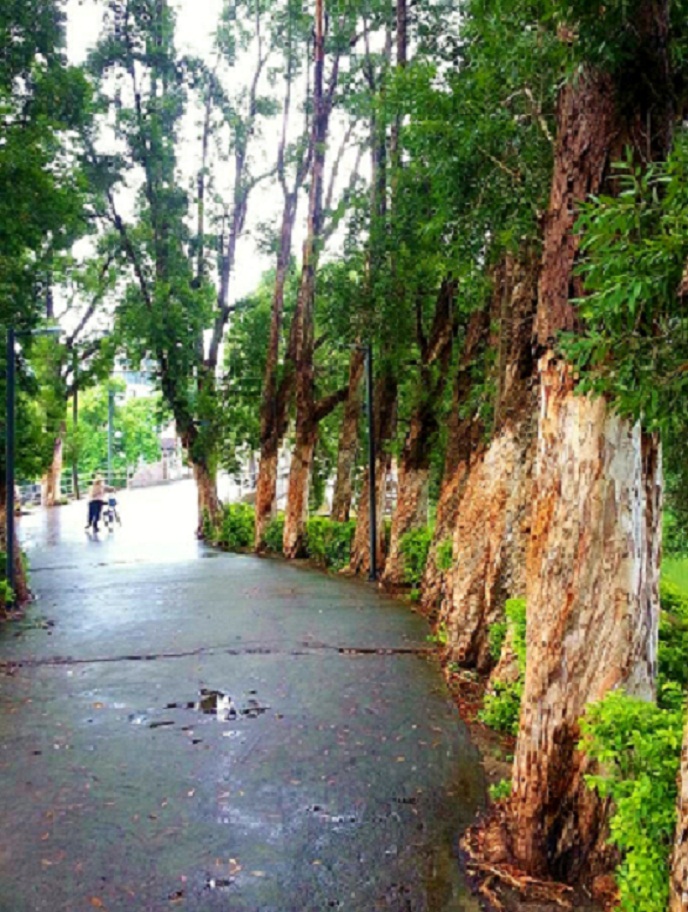 20140622_144813.jpg