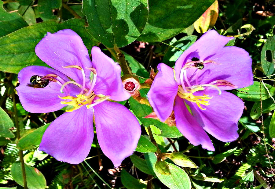 20140702_141802.jpg
