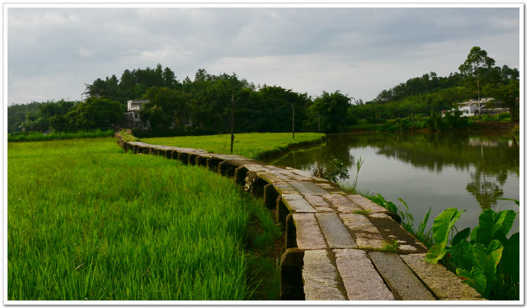 DSC_7684.jpg