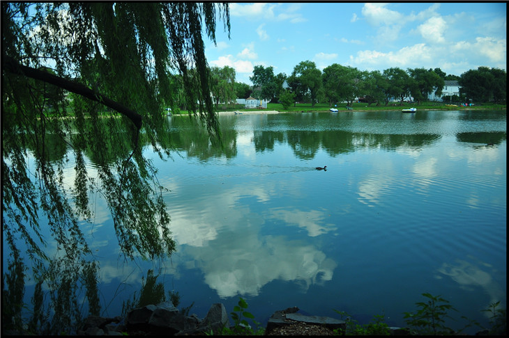 DSC_0789.jpg