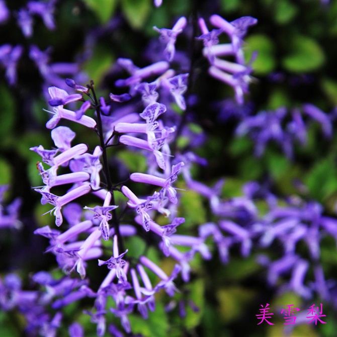 DSC_0864.jpg
