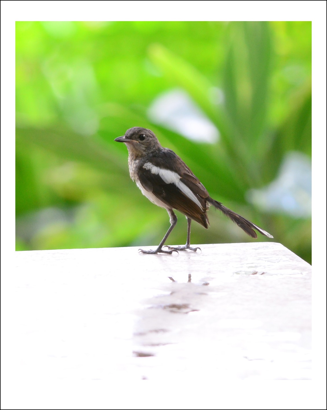 DSC_5307_conew1.jpg