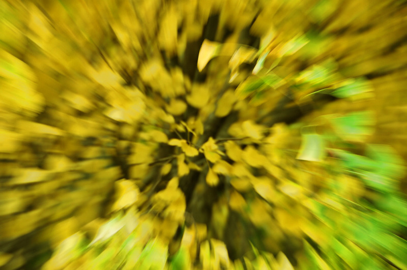 as1.jpg