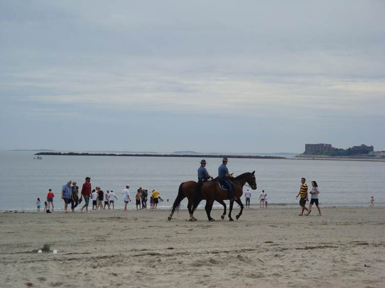 DSC04125_.jpg