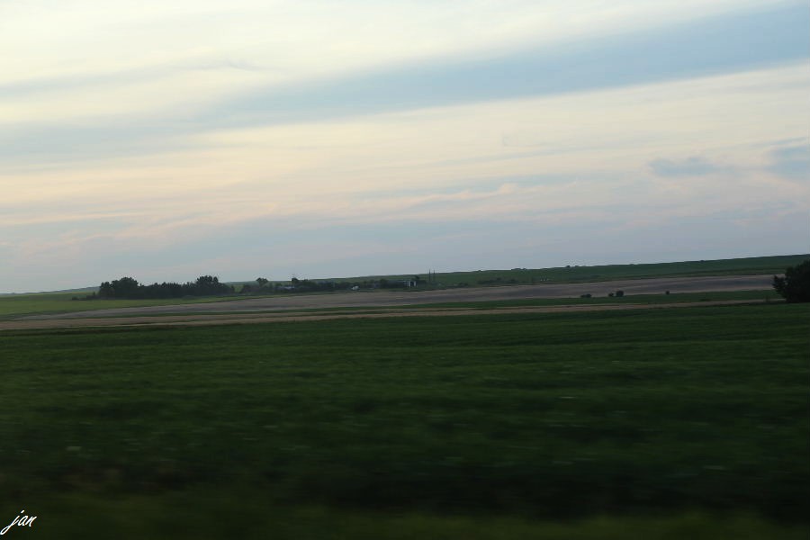 nEO_IMG_IMG_7229.jpg