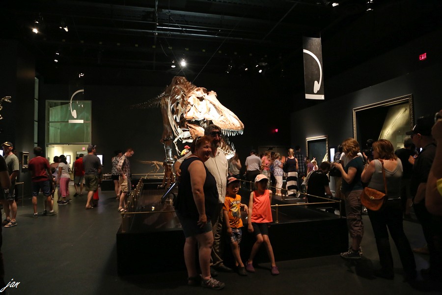 IMG_7670.JPG