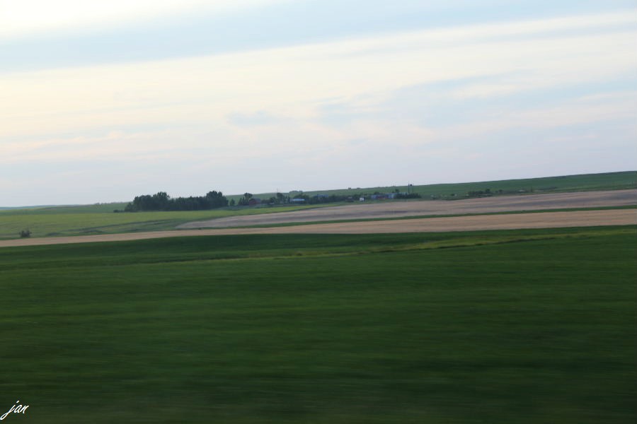 nEO_IMG_IMG_7230.jpg