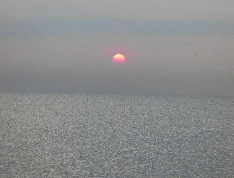 P1050661.JPG