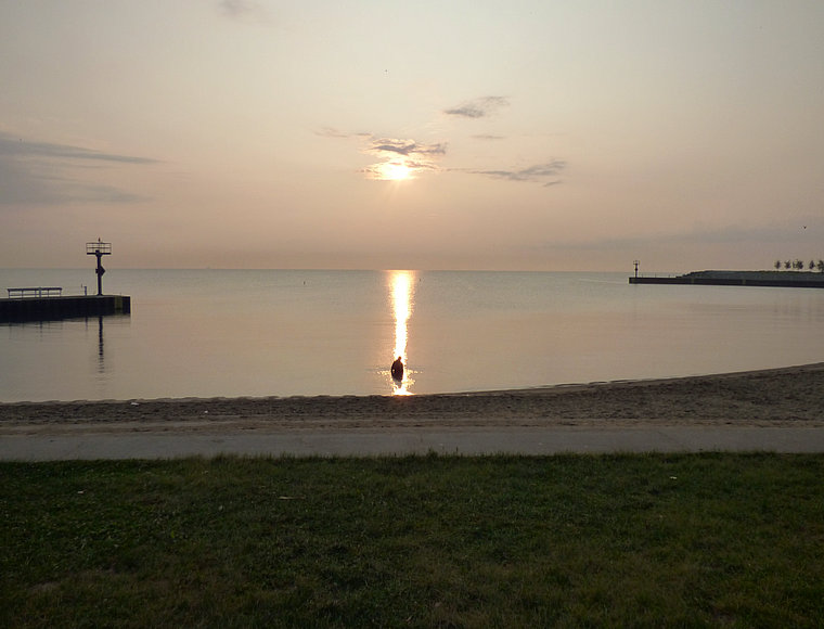 P1050829.JPG