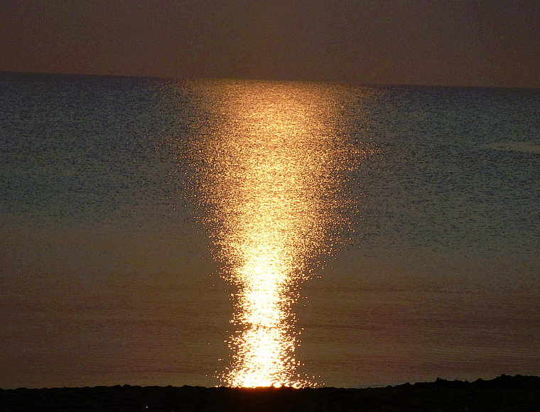 P1050790.JPG