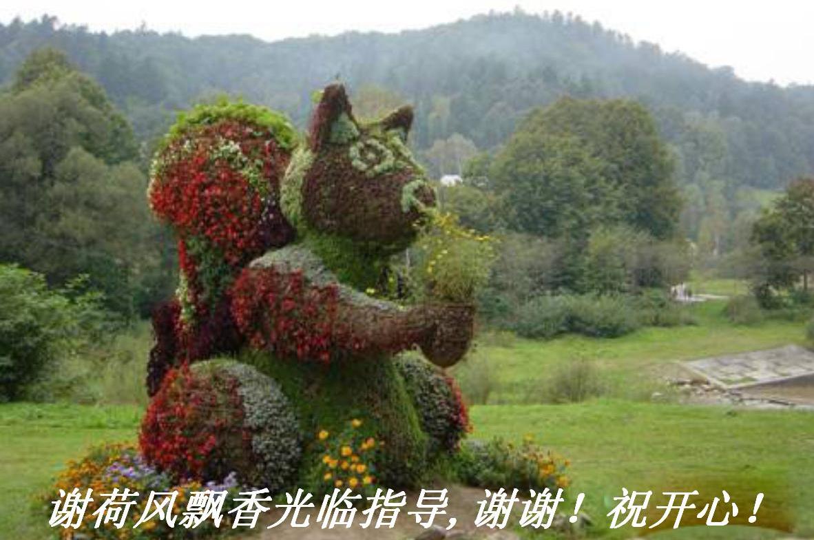 лɷƮָ,ллףģ.JPG