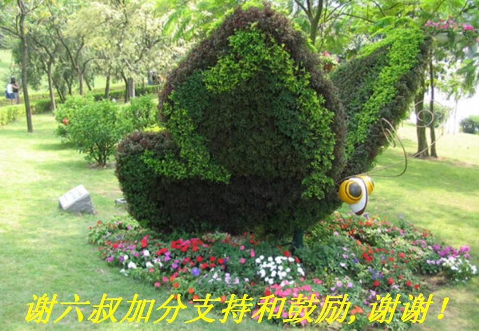 лӷֺ֧͹,лл.JPG