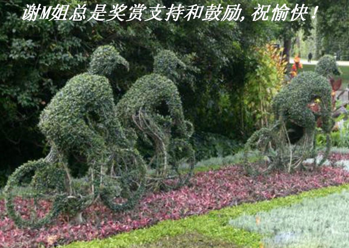 лMǽֺ֧͹,ף죡.JPG
