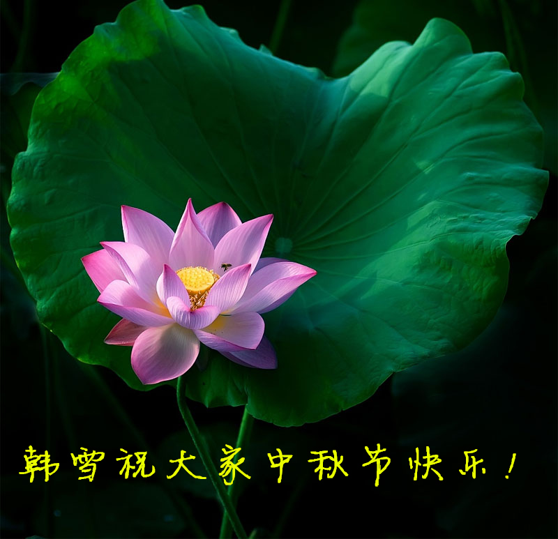 20098168421_.jpg