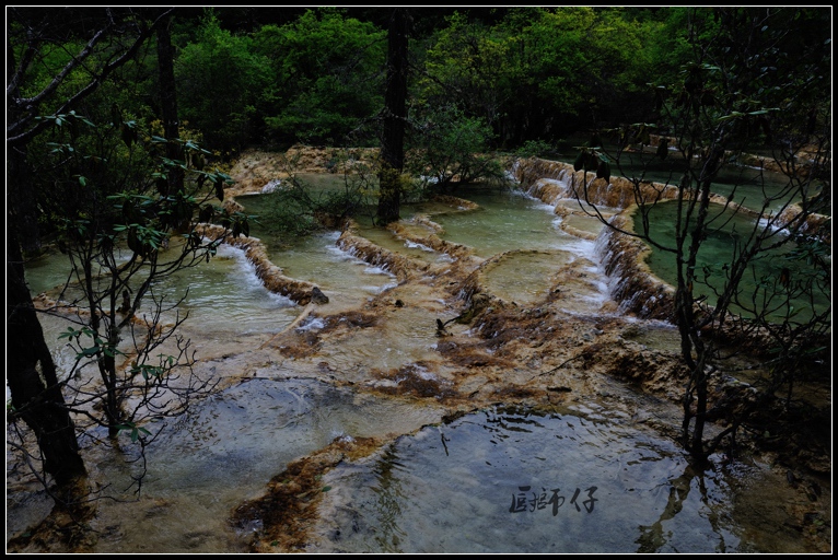 DSC_1747.jpg