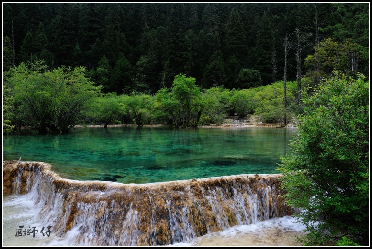 DSC_1741.jpg