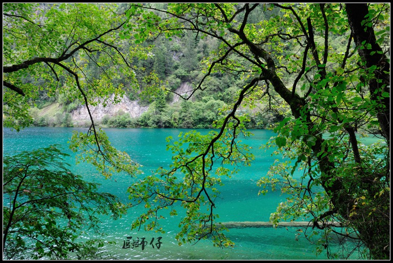 DSC_1434.jpg