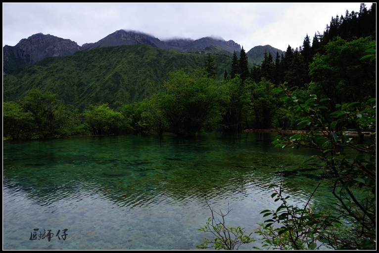 DSC_1743.jpg