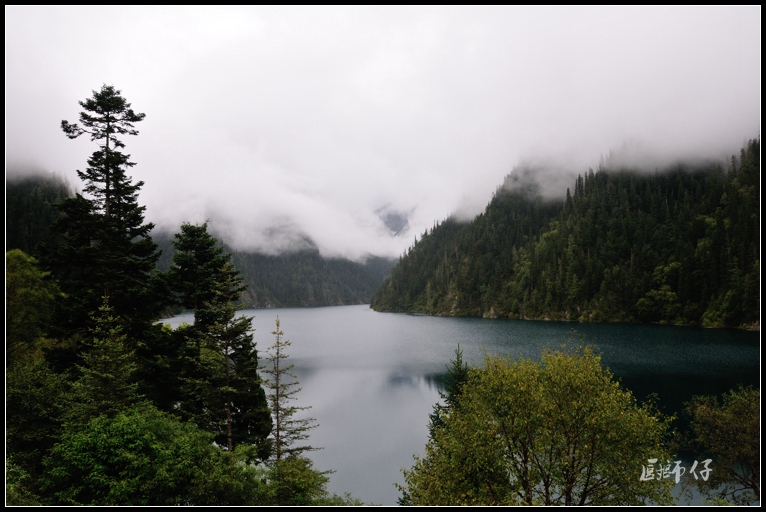 DSC_1261.jpg