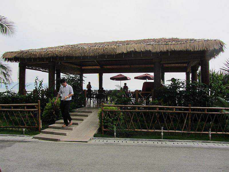 IMG_6310.jpg