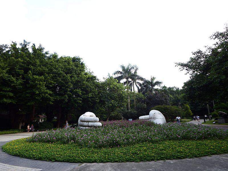 DSCF0775.jpg