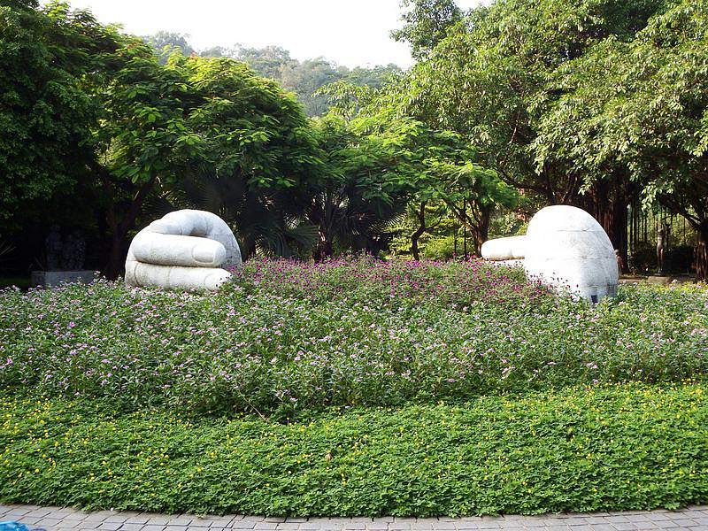 DSCF0714.jpg