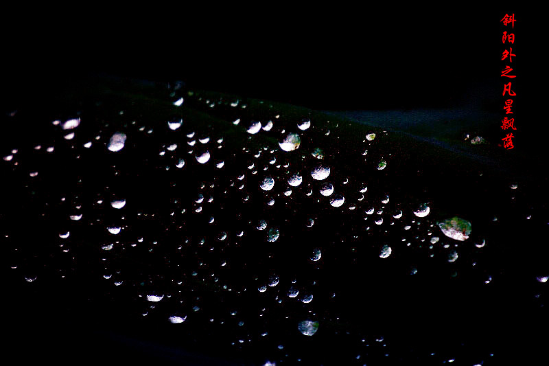 _MG_37712014--8-8-1_.jpg