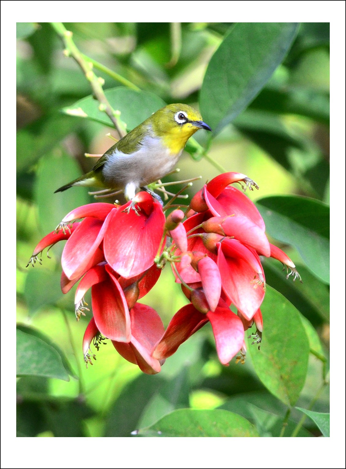 DSC_5758_conew1.jpg
