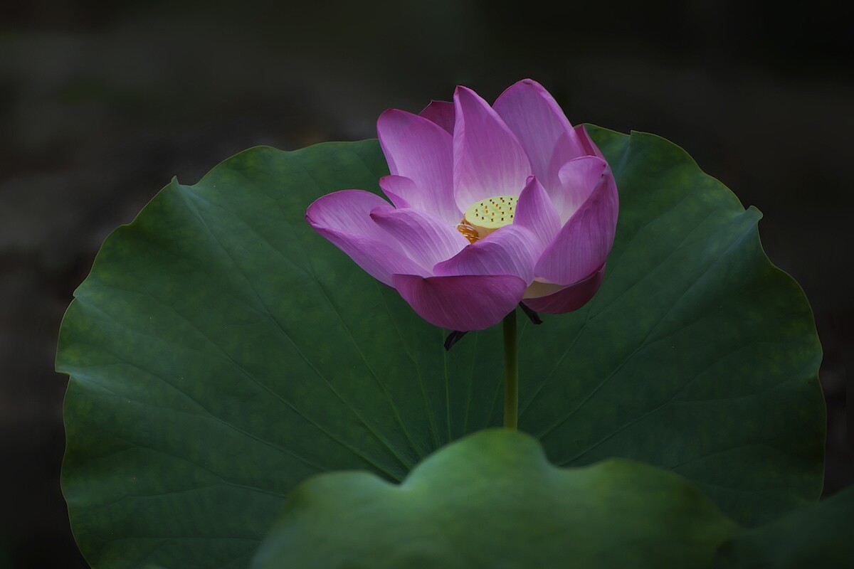 QQͼƬ20140616081727.jpg