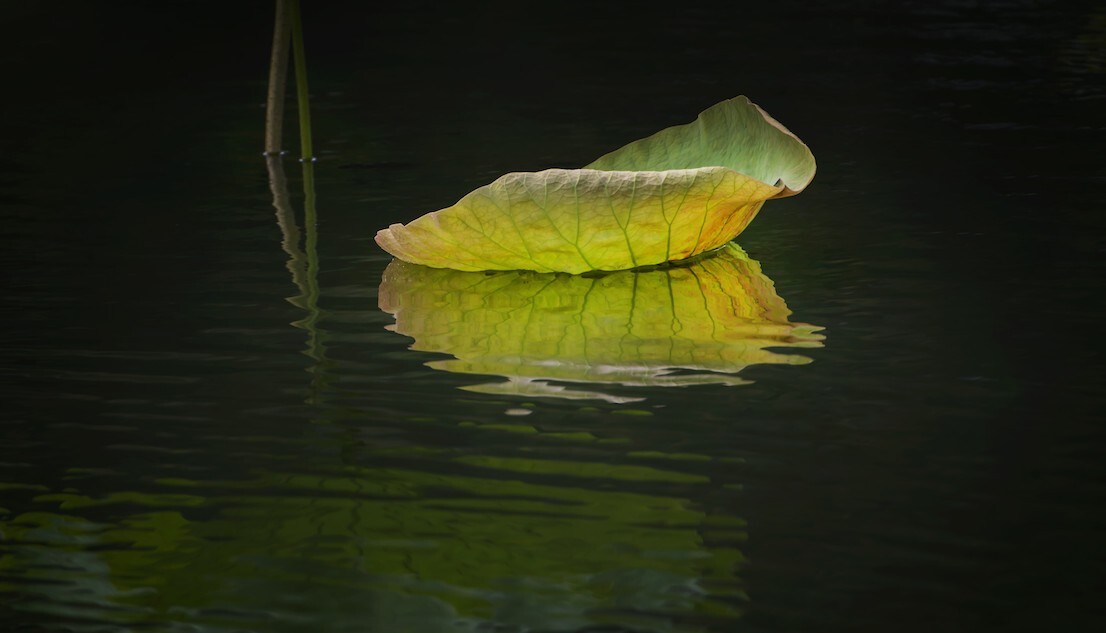 QQͼƬ20140809083135.jpg