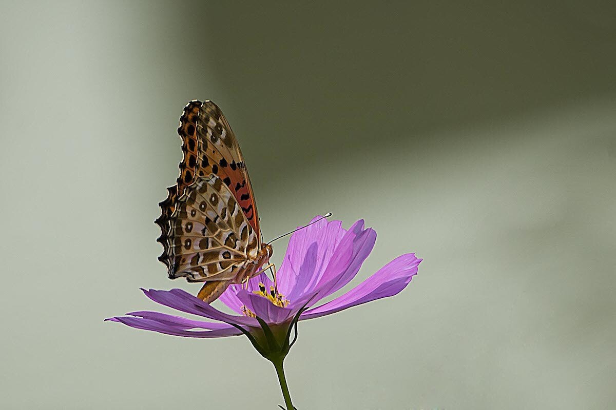 QQͼƬ20140615152123.jpg