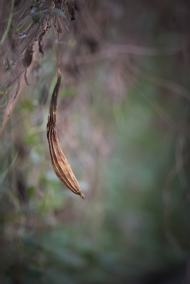 DSC_8272.jpg