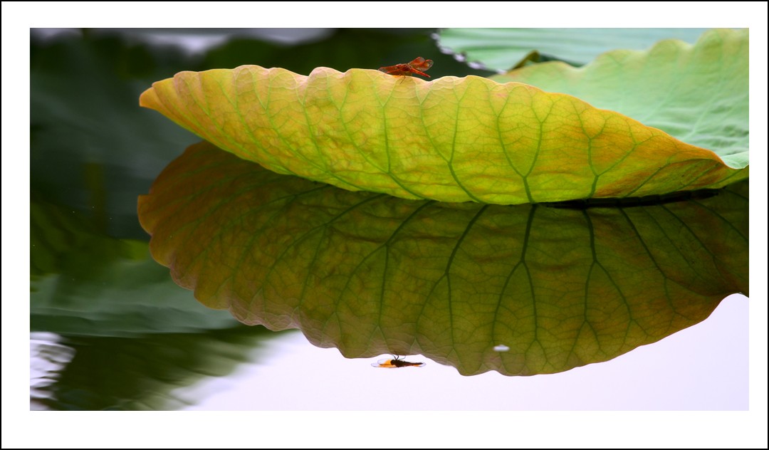 DSC_5670_conew1.jpg