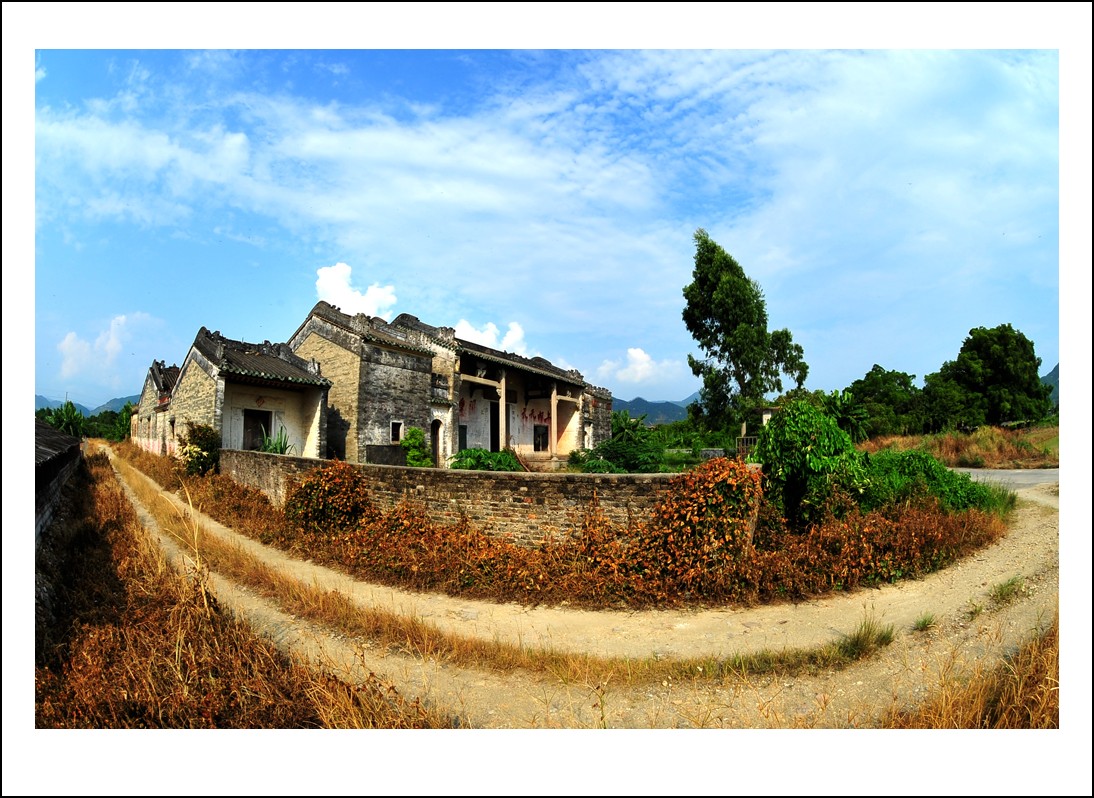 DSC_4502_conew1.jpg