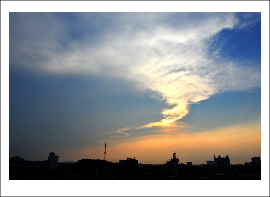 DSC_4315_conew1.jpg