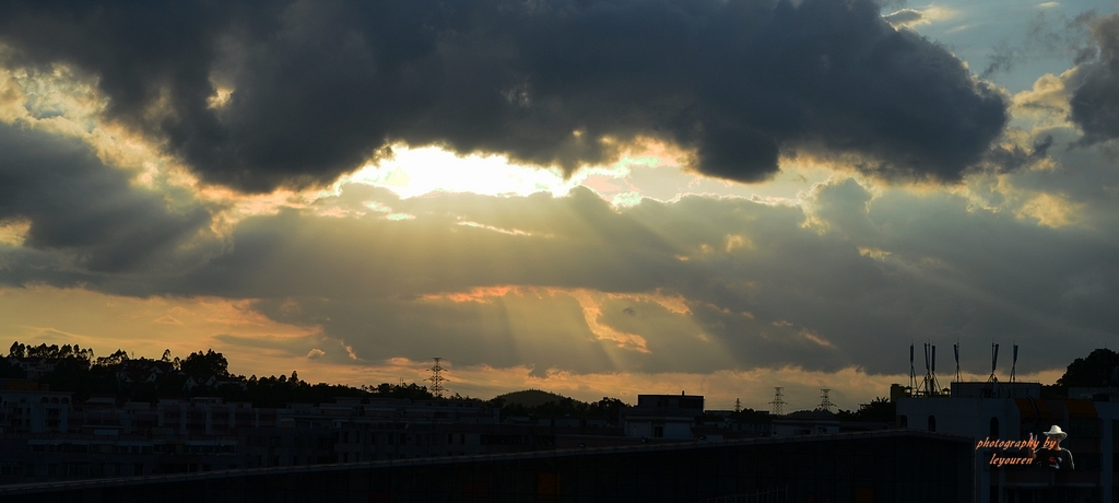 DSC_3137.jpg