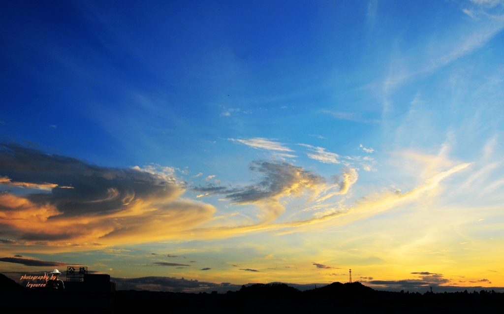 DSC_3139.jpg