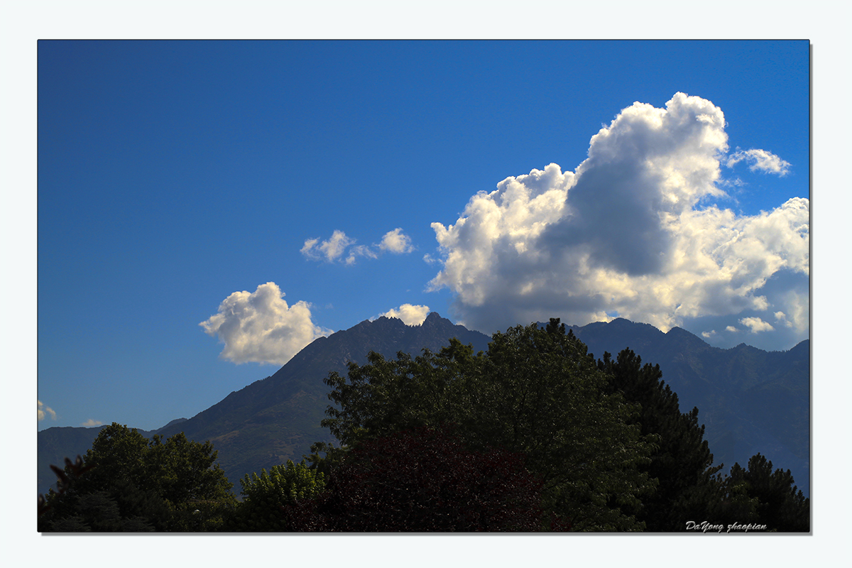 IMG_9688-1.jpg