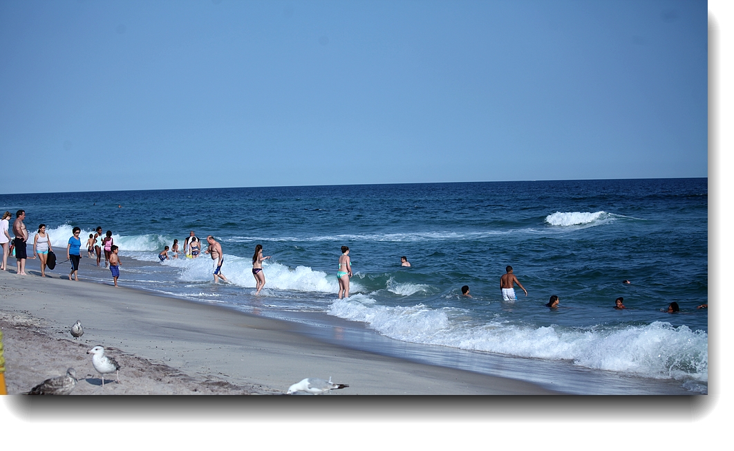 IMG_7380a.jpg