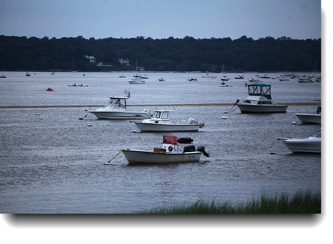 IMG_7953a.jpg