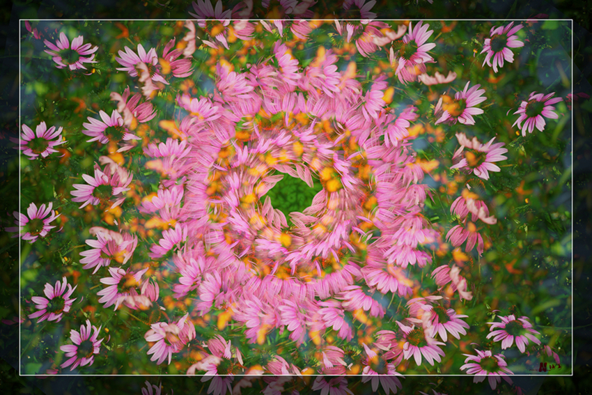 DSC_0330 ����_����_����_����.jpg