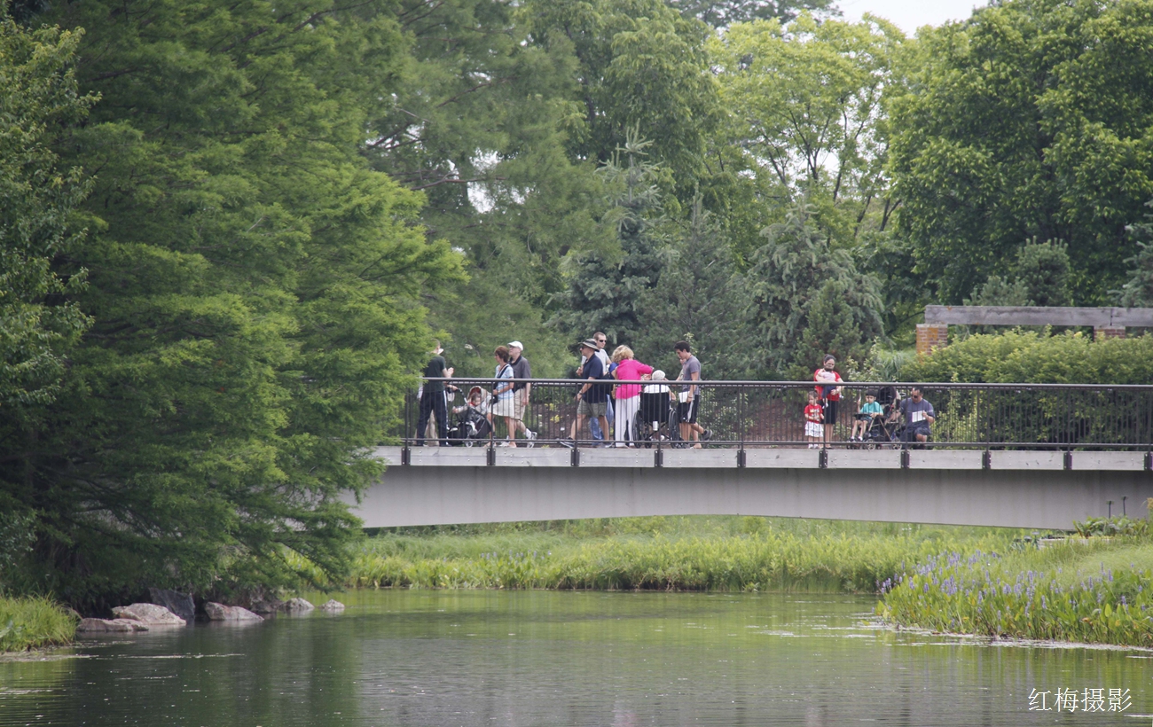 _MG_0804.JPG