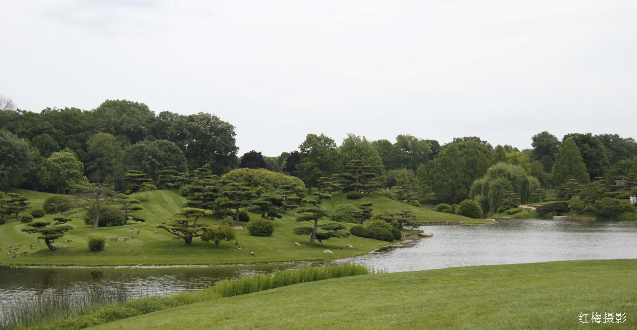 _MG_0876.JPG